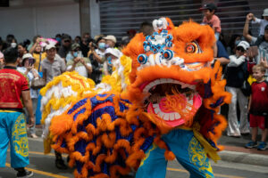 Large orange, blue and yellow Chinese dragon at Lunar Festival in Brimbank