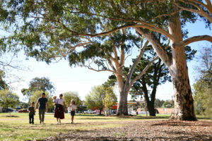 Family walking past gum trees in Lagoon Reserve in Brimbank